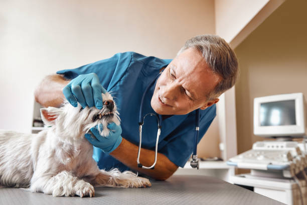Best Urgent Dental Care  in Captains Cove, VA